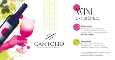 WINE EXPERIENCE